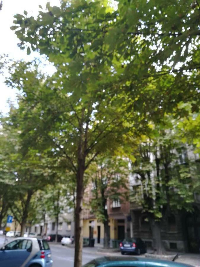Dreno Apartman Zagreb Ngoại thất bức ảnh